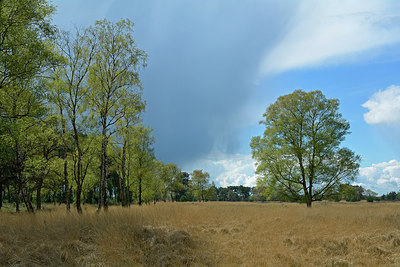 BUITEN BEELD Foto: 283182