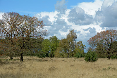 BUITEN BEELD Foto: 283183