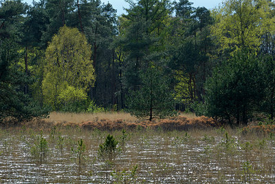 BUITEN BEELD Foto: 283184