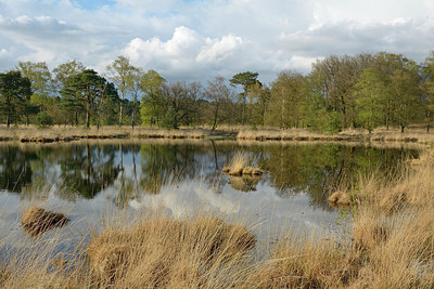 BUITEN BEELD Foto: 283185
