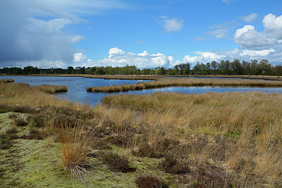 BUITEN BEELD Foto: 283193