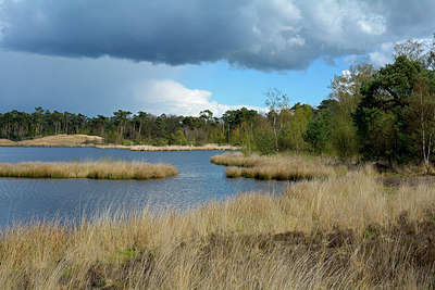 BUITEN BEELD Foto: 283194