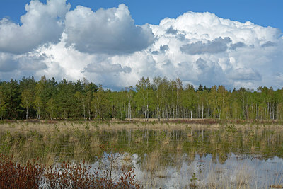 BUITEN BEELD Foto: 283200