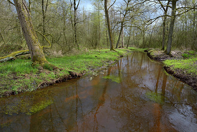BUITEN BEELD Foto: 283210