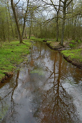 BUITEN BEELD Foto: 283211