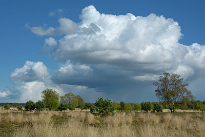 BUITEN BEELD Foto: 283219
