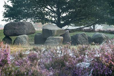 BUITEN BEELD Foto: 283225
