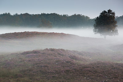 BUITEN BEELD Foto: 283233
