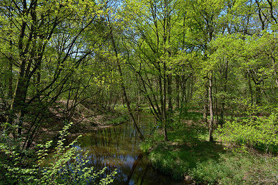 BUITEN BEELD Foto: 283236