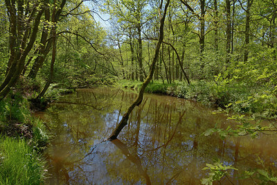 BUITEN BEELD Foto: 283237