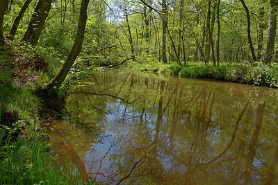 BUITEN BEELD Foto: 283238
