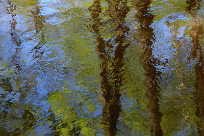 BUITEN BEELD Foto: 283239