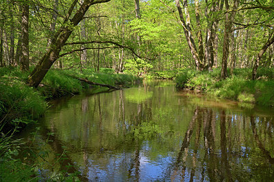 BUITEN BEELD Foto: 283240