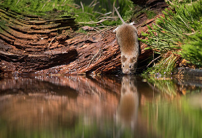 BUITEN BEELD Foto: 283249