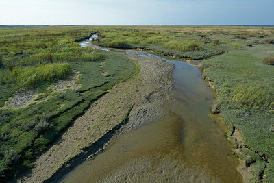 BUITEN BEELD Foto: 283255