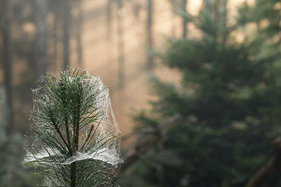 BUITEN BEELD Foto: 283284