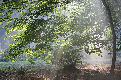 BUITEN BEELD Foto: 283285