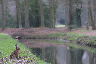 BUITEN BEELD Foto: 283313