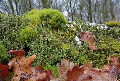 BUITEN BEELD Foto: 283365