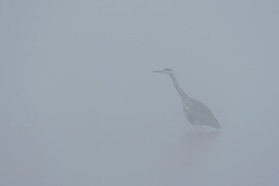 BUITEN BEELD Foto: 283393