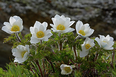BUITEN BEELD Foto: 283403