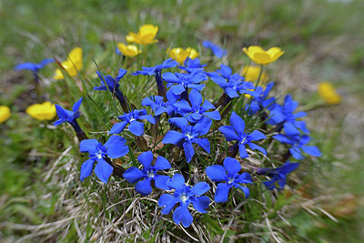 BUITEN BEELD Foto: 283404