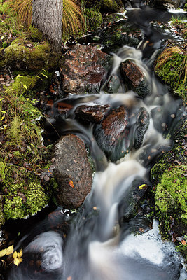 BUITEN BEELD Foto: 283407