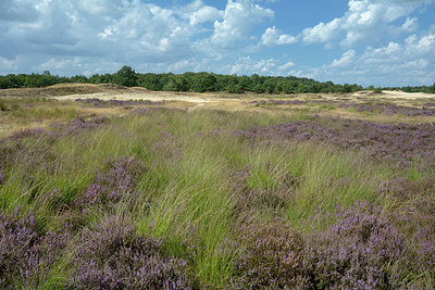 BUITEN BEELD Foto: 283413