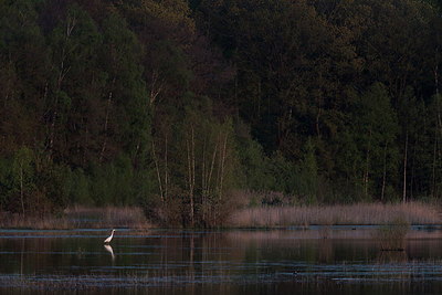 BUITEN BEELD Foto: 283426