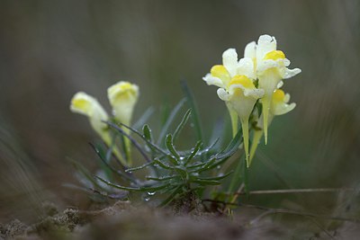 BUITEN BEELD Foto: 283442