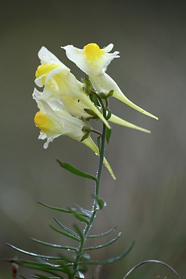 BUITEN BEELD Foto: 283443
