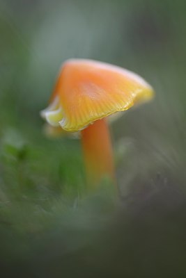BUITEN BEELD Foto: 283446