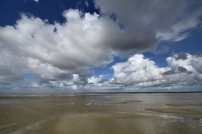 BUITEN BEELD Foto: 283454