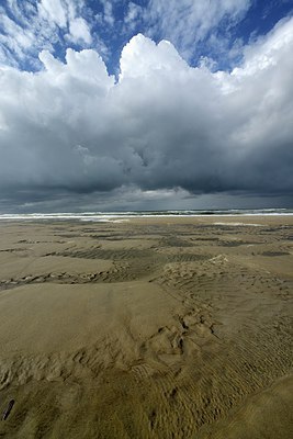 BUITEN BEELD Foto: 283501