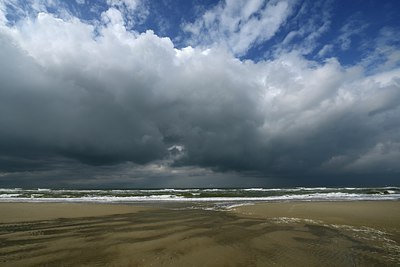 BUITEN BEELD Foto: 283502