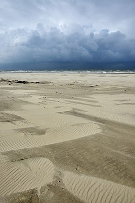 BUITEN BEELD Foto: 283554