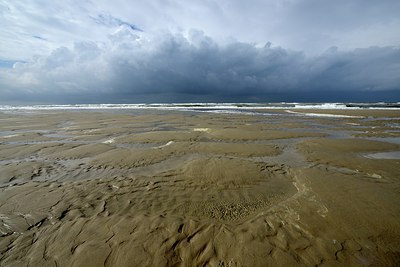 BUITEN BEELD Foto: 283555
