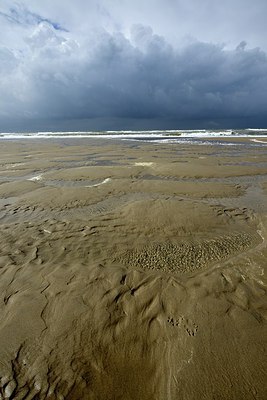 BUITEN BEELD Foto: 283556