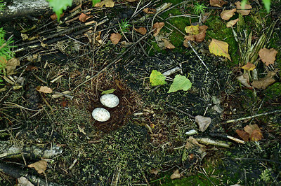 BUITEN BEELD Foto: 283580