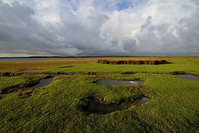 BUITEN BEELD Foto: 283635