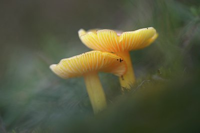 BUITEN BEELD Foto: 283641