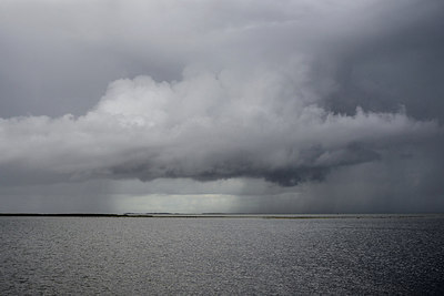 BUITEN BEELD Foto: 283647