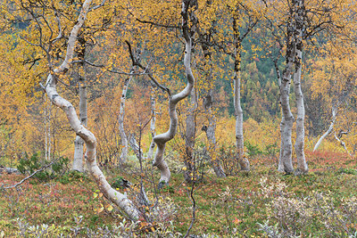 BUITEN BEELD Foto: 283652