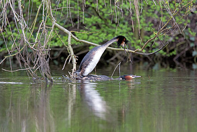 BUITEN BEELD Foto: 283662