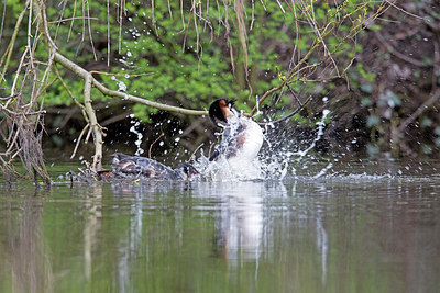 BUITEN BEELD Foto: 283664