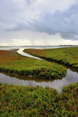 BUITEN BEELD Foto: 283671