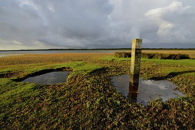 BUITEN BEELD Foto: 283677
