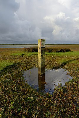BUITEN BEELD Foto: 283679