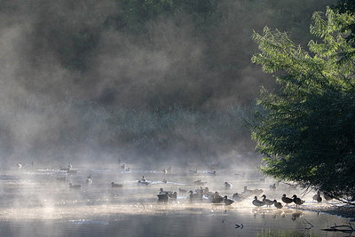 BUITEN BEELD Foto: 283697