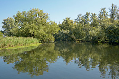BUITEN BEELD Foto: 283721
